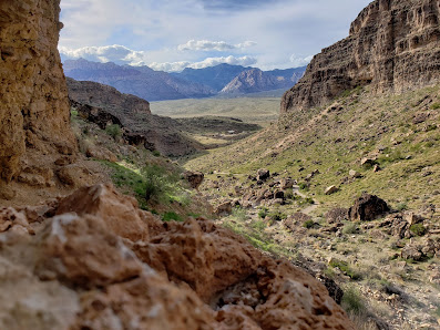 Cowboy Trail Rides thumb 6